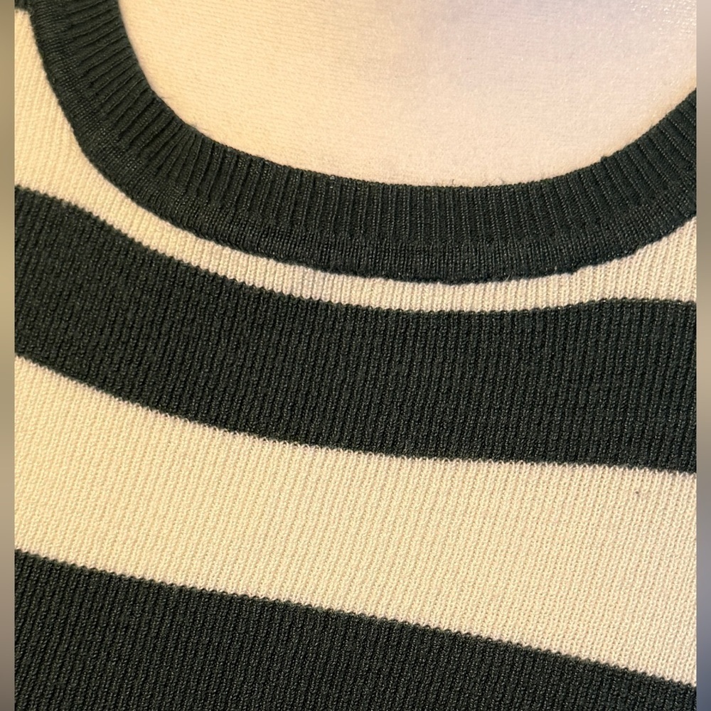 Aster Dark Green & White Striped Cropped Sweater - Picture 3 of 5